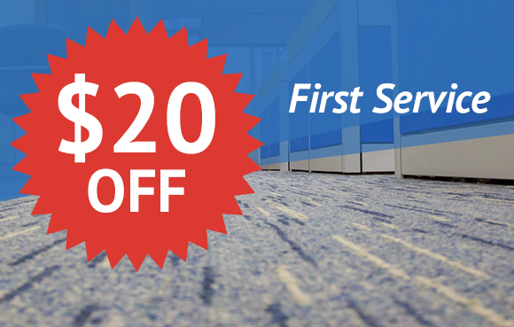 $20 Off First Service