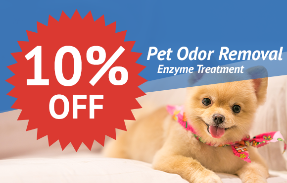 10% Off Pet Odor Removal Enzyme Treatment