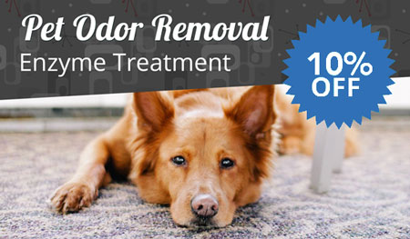 10% Off Pet Odor Removal